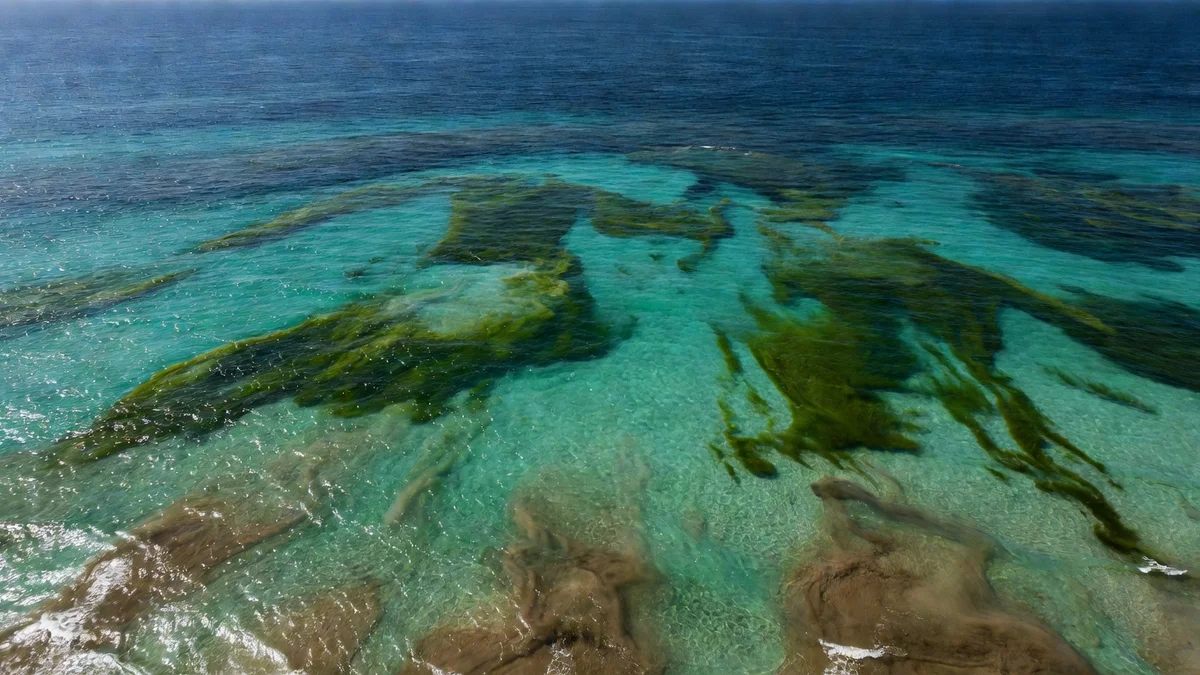 Océan bleu vu du rivage